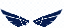 North Wings logo